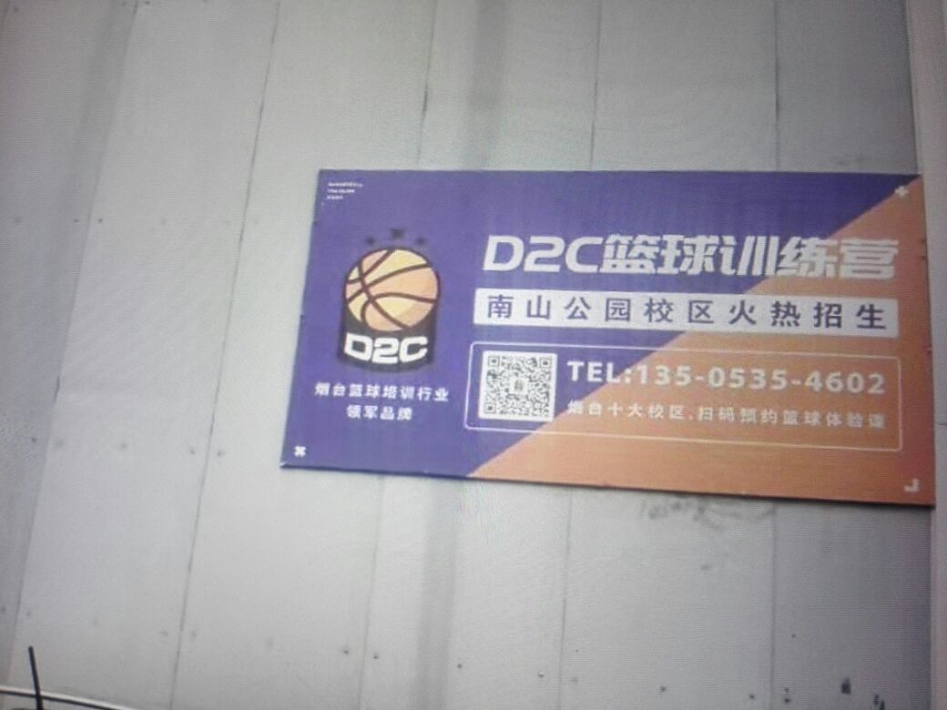 放飞梦想篮球训练营电话